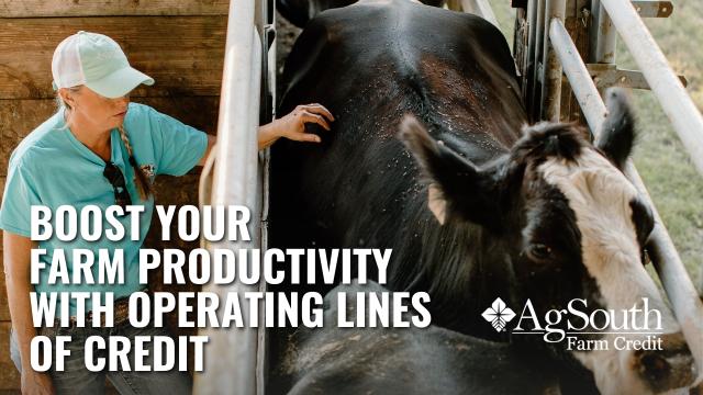 Blog Answers And Guidance AgSouth Farm Credit   AgSouth Farm Credit Farm Productivity Operating Lines Of Credit (1) 